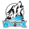 Great Lakes Secondary School logo