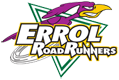 Errol Road Public School logo
