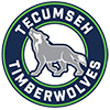 Tecumseh Public School logo
